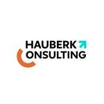 Hauberk Consulting